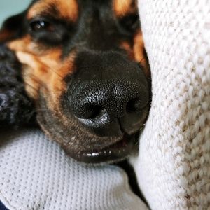 Meet your Posher, Charles